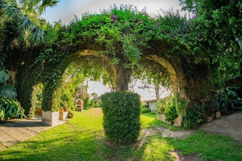 Finca San Javier El Arenal  Exterior photo